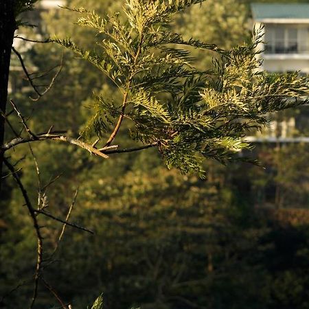 팔콘 크레스트 바가몬 호텔 외부 사진